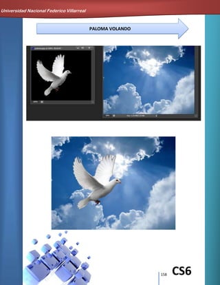 158 CS6
PALOMA VOLANDO
Universidad Nacional Federico Villarreal
 