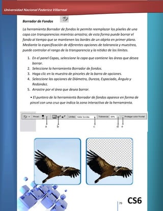 79 CS6
Borrador de Fondos
La herramienta Borrador de fondos le permite reemplazar los píxeles de una
capa con transparencias mientras arrastra; de esta forma puede borrar el
fondo al tiempo que se mantienen los bordes de un objeto en primer plano.
Mediante la especificación de diferentes opciones de tolerancia y muestreo,
puede controlar el rango de la transparencia y la nitidez de los límites.
1. En el panel Capas, seleccione la capa que contiene las áreas que desea
borrar.
2. Seleccione la herramienta Borrador de fondos.
3. Haga clic en la muestra de pinceles de la barra de opciones.
4. Seleccione las opciones de Diámetro, Dureza, Espaciado, Ángulo y
Redondez.
5. Arrastre por el área que desea borrar.
• El puntero de la herramienta Borrador de fondos aparece en forma de
pincel con una cruz que indica la zona interactiva de la herramienta.
Universidad Nacional Federico Villarreal
 