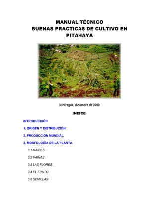 MANUAL TÉCNICO
    BUENAS PRACTICAS DE CULTIVO EN
              PITAHAYA




                    Nicaragua, diciembre de 2000

                             INDICE

INTRODUCCIÓN

1. ORIGEN Y DISTRIBUCIÓN

2. PRODUCCIÓN MUNDIAL

3. MORFOLOGÍA DE LA PLANTA

  3.1 RAÍCES

  3.2 VAINAS

  3.3 LAS FLORES

  3.4 EL FRUTO

  3.5 SEMILLAS
 