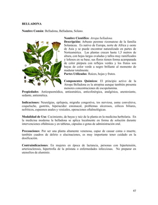 MANUAL PLANTAS MEDICINALES  Comision.pdf