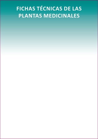 27
FICHAS TÉCNICAS DE LAS
PLANTAS MEDICINALES
 