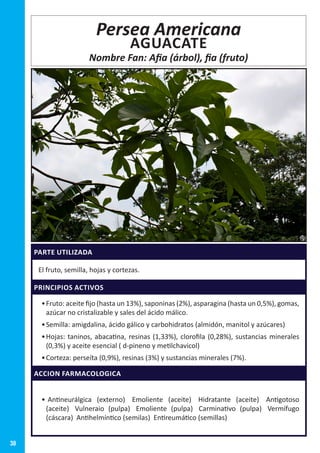 38
PARTE UTILIZADA
El fruto, semilla, hojas y cortezas.
PRINCIPIOS ACTIVOS
•	Fruto: aceite fijo (hasta un 13%), saponinas (2%), asparagina (hasta un 0,5%), gomas,
azúcar no cristalizable y sales del ácido málico.
•	Semilla: amigdalina, ácido gálico y carbohidratos (almidón, manitol y azúcares)
•	Hojas: taninos, abacatina, resinas (1,33%), clorofila (0,28%), sustancias minerales
(0,3%) y aceite esencial ( d-pineno y metilchavicol)
•	Corteza: perseíta (0,9%), resinas (3%) y sustancias minerales (7%).
ACCION FARMACOLOGICA
•	 Antineurálgica (externo)  Emoliente (aceite)  Hidratante (aceite)  Antigotoso
(aceite)  Vulneraio (pulpa)  Emoliente (pulpa)  Carminativo (pulpa)  Vermífugo
(cáscara)  Antihelmíntico (semilas)  Entireumático (semillas)
Persea Americana
AGUACATE
Nombre Fan: Afia (árbol), fia (fruto)
 