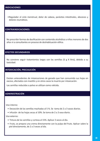 39
INDICACIONES
•	Regulador el ciclo menstrual, dolor de cabeza, parásitos intestinales, abscesos y
dolores reumáticos.
CONTRAINDICACIONES:
No prescribir formas de dosificación con contenido alcohólico a niños menores de dos
años ni a consultantes en proceso de deshabituación etílica.
EFECTOS SECUNDARIOS
No conviene seguir tratamientos largos con las semillas (5 g X litro), debido a su
toxicidad.
INTOXICACIÓN, PRECAUCIÓN
Existen antecedentes de intoxicaciones de ganado que han consumido sus hojas en
exceso, afectados con mastitis y en otros casos la muerte por intoxicación.
Las semillas reducidas a polvo se utilizan como raticida.
ADMINISTRACIÓN
Uso interno:
•	Decocción de las semillas machadas al 5 %. Se toma de 2 a 3 vasos diarios.
•	Infusión de las hojas secas al 10%. Se toma de 2 a 3 vaso diario.
Uso externo:
•	Tintura de las semillas y corteza al 15%. Aplicar 2 veces al día.
•	 Fruto, se prepara una crema directamente con la pulpa del fruto. Aplicar sobre la
piel directamente, de 2 a 3 veces al día.
 