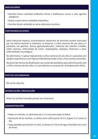 43
INDICACIONES
•	Semillas tienen actividad antibiotica frente a Stafilococus aureus y otos agentes
patógenos.
•	Hojas y raíces tienen actibidad antipirética.
•	Semillas tienen actividad en varias afecciones oculares.
CONTRAINDICACIONES:
Salvo indicación expresa, recomendamos abstenerse de prescribir aceites esenciales
por vía interna durante el embarazo, la lactancia, a niños menores de seis años o a
pacientes con gastritis, úlceras gastroduodenales, síndrome del intestino irritable,
colitis ulcerosa, enfermedad de Crohn, hepatopatías, epilepsia, Parkinson u otras
enfermedades neurológicas.
No administrar, ni aplicar tópicamente a niños menores de seis años ni a personas con
alergias respiratorias o con hipersensibilidad conocida a éste u otros aceites esenciales.
No prescribir formas de dosificación con contenido alcohólico para administración oral
a niños menores de dos años ni a consultantes en proceso de deshabituación etílica.
EFECTOS SECUNDARIOS
No se han descrito.
INTOXICACIÓN, PRECAUCIÓN
Evitar las semillas húmedas porque son venenosas.
ADMINISTRACIÓN
•	Hojas en infusión, se administra de 2 a 3 vasos para bajar la fiebre.
•	Decocción de las semillas, se utiliza como colirio poner de 2 a 3 gotas 2 o 3 veces al
día.
•	Jugo extraídos por presión en seco, se diluye en 2 litros de agua mezclado con zumo
de limón.
 