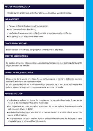 45
ACCION FARMACOLOGICA
•	Cicatrizante, analgesico, antiinflamatorio, antimicótico y antihelmintico.
INDICACIONES
•	Para desinflamar los tumores (hinchazones),
•	Para calmar el dolor de cabeza,
•	Las hojas de yuca, puestas en la almohada provoca un sueño profundo.
•	Erisipelas y otras infecciones exteriores.
CONTRAINDICACIONES:
No deben ser consumidas por personas con trastornos tiroideos.
EFECTOS SECUNDARIOS
Se pueden presentar intoxicaciones crónicas resultantes de la ingestión regular durante
largosperiodos de tiempo.
INTOXICACIÓN, PRECAUCIÓN
El consumo de la planta en estado fresco es tóxico para el hombre, debiendo siempre
cocinarla o hervirla para ser consumida.
La alta concentración en ácido cianhídrico presente en la raíz hace recomendable
pelarla y ponerla largo rato en agua corriente antes de cocinarla.
ADMINISTRACIÓN
•	Su harina se aplaica en forma de cataplasma, como antiinflamatorio. Poner varias
veces al día mintras la inflación se mantenga.
•	Las hojas frescas, con pequeñas encisiones se puden aplicar directamente en la
cabeza, para aliviar el dolor.
•	Maceración de las hojas, durante 12 h. Tomar un de 2 a 3 vasos al día, en su uso
como antihelmintico.
•	Cataplasma con las hojas y raíces. Aplicar en los dedeos durante 3 o 4 días en la zona
afectada hasta la eliminaciós d ela micosis.
 