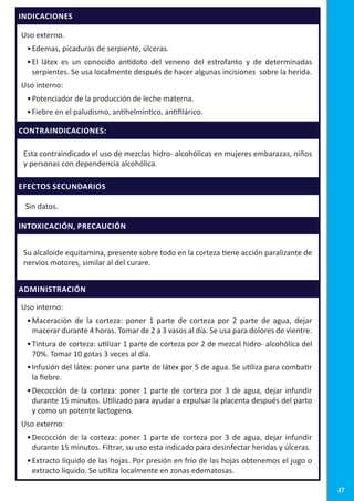 47
INDICACIONES
Uso externo.
•	Edemas, picaduras de serpiente, úlceras.
•	El látex es un conocido antídoto del veneno del estrofanto y de determinadas
serpientes. Se usa localmente después de hacer algunas incisiones sobre la herida.
Uso interno:
•	Potenciador de la producción de leche materna.
•	Fiebre en el paludismo, antihelmíntico, antifilárico.
CONTRAINDICACIONES:
Esta contraindicado el uso de mezclas hidro- alcohólicas en mujeres embarazas, niños
y personas con dependencia alcohólica.
EFECTOS SECUNDARIOS
Sin datos.
INTOXICACIÓN, PRECAUCIÓN
Su alcaloide equitamina, presente sobre todo en la corteza tiene acción paralizante de
nervios motores, similar al del curare.
ADMINISTRACIÓN
Uso interno:
•	Maceración de la corteza: poner 1 parte de corteza por 2 parte de agua, dejar
macerar durante 4 horas. Tomar de 2 a 3 vasos al día. Se usa para dolores de vientre.
•	Tintura de corteza: utilizar 1 parte de corteza por 2 de mezcal hidro- alcohólica del
70%. Tomar 10 gotas 3 veces al día.
•	Infusión del látex: poner una parte de látex por 5 de agua. Se utiliza para combatir
la fiebre.
•	Decocción de la corteza: poner 1 parte de corteza por 3 de agua, dejar infundir
durante 15 minutos. Utilizado para ayudar a expulsar la placenta después del parto
y como un potente lactogeno.
Uso externo:
•	Decocción de la corteza: poner 1 parte de corteza por 3 de agua, dejar infundir
durante 15 minutos. Filtrar, su uso esta indicado para desinfectar heridas y úlceras.
•	Extracto líquido de las hojas. Por presión en frío de las hojas obtenemos el jugo o
extracto líquido. Se utiliza localmente en zonas edematosas.
 