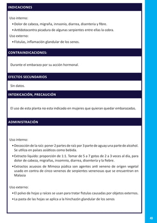 49
INDICACIONES
Uso interno:
•	Dolor de cabeza, migraña, innsonio, diarrea, disenteria y fibre.
•	Antídotocontra picadura de algunas serpientes entre ellas la cobra.
Uso externo:
•	Fístulas, inflamación glandular de los senos.
CONTRAINDICACIONES:
Durante el embarazo por su acción hormonal.
EFECTOS SECUNDARIOS
Sin datos.
INTOXICACIÓN, PRECAUCIÓN
El uso de esta planta no esta indicado en mujeres que quieran quedar embarazadas.
ADMINISTRACIÓN
Uso interno:
•	Decocción de la raíz: poner 2 partes de raíz por 3 parte de aguay una parte de alcohol.
Se utiliza en países asiáticos como bebida.
•	Extracto líquido: proporción de 1:1. Tomar de 5 a 7 gotas de 2 a 3 veces al día, para
dolor de cabeza, migrañas, insomnio, diarrea, disentería y la fiebre.
•	Extractos acuosos de Mimosa púdica son agentes anti veneno de origen vegetal
usado en contra de cinco venenos de serpientes venenosas que se encuentran en
Malasia
Uso externo:
•	El polvo de hojas y raíces se usan para tratar fistulas causadas por objetos externos.
•	La pasta de las hojas se aplica a la hinchazón glandular de los senos
 