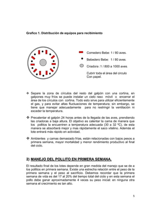 5
Grafico 1. Distribución de equipos para recibimiento
Comedero Bebe: 1 / 80 aves.
Bebedero Bebe: 1 / 80 aves.
Criadora :1 / 800 a 1000 aves.
Cubrir toda el área del circulo
Con papel.
Separe la zona de círculos del resto del galpón con una cortina, en
galpones muy fríos se puede instalar un cielo raso móvil o encerrar el
área de los círculos con cortina. Todo esto sirve para utilizar eficientemente
el gas, y para evitar altas fluctuaciones de temperatura; sin embargo, se
tiene que manejar adecuadamente para no restringir la ventilación ni
exceder la temperatura.
Precalentar el galpón 24 horas antes de la llegada de las aves, prendiendo
las criadoras a baja altura. El objetivo es calentar la cama de manera que
los pollitos la encuentren a temperatura adecuada (30 a 32 ºC), de esta
manera se absorberá mejor y mas rápidamente el saco vitelino. Además el
lote entrará más rápido en actividad.
Ambientes y camas demasiado frías, están relacionadas con bajos pesos a
primera semana, mayor mortalidad y menor rendimiento productivo al final
del ciclo.
22)) MMAANNEEJJOO DDEELL PPOOLLLLIITTOO EENN PPRRIIMMEERRAA SSEEMMAANNAA..
El resultado final de los lotes depende en gran medida del manejo que se de a
los pollitos en primera semana. Existe una estrecha relación entre el peso de la
primera semana y el peso al sacrificio. Debemos recordar que la primera
semana de vida es del 17 al 20% del tiempo total del ciclo y en esta semana el
pollo debe ganar aproximadamente 4 veces su peso inicial: en ninguna otra
semana el crecimiento es tan alto.
 