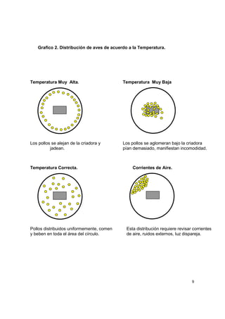 9
Grafico 2. Distribución de aves de acuerdo a la Temperatura.
Temperatura Muy Alta. Temperatura Muy Baja
Los pollos se alejan de la criadora y Los pollos se aglomeran bajo la criadora
jadean. pían demasiado, manifiestan incomodidad.
Temperatura Correcta. Corrientes de Aire.
Pollos distribuidos uniformemente, comen Esta distribución requiere revisar corrientes
y beben en toda el área del círculo. de aire, ruidos externos, luz dispareja.
 