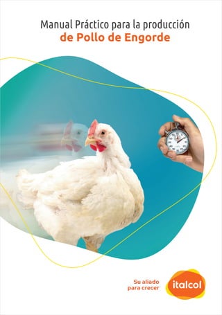 Manual Práctico para la producción
de Pollo de Engorde
 