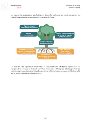 manual portafolio docente 2024 para educación adultos y jóvenes | PDF
