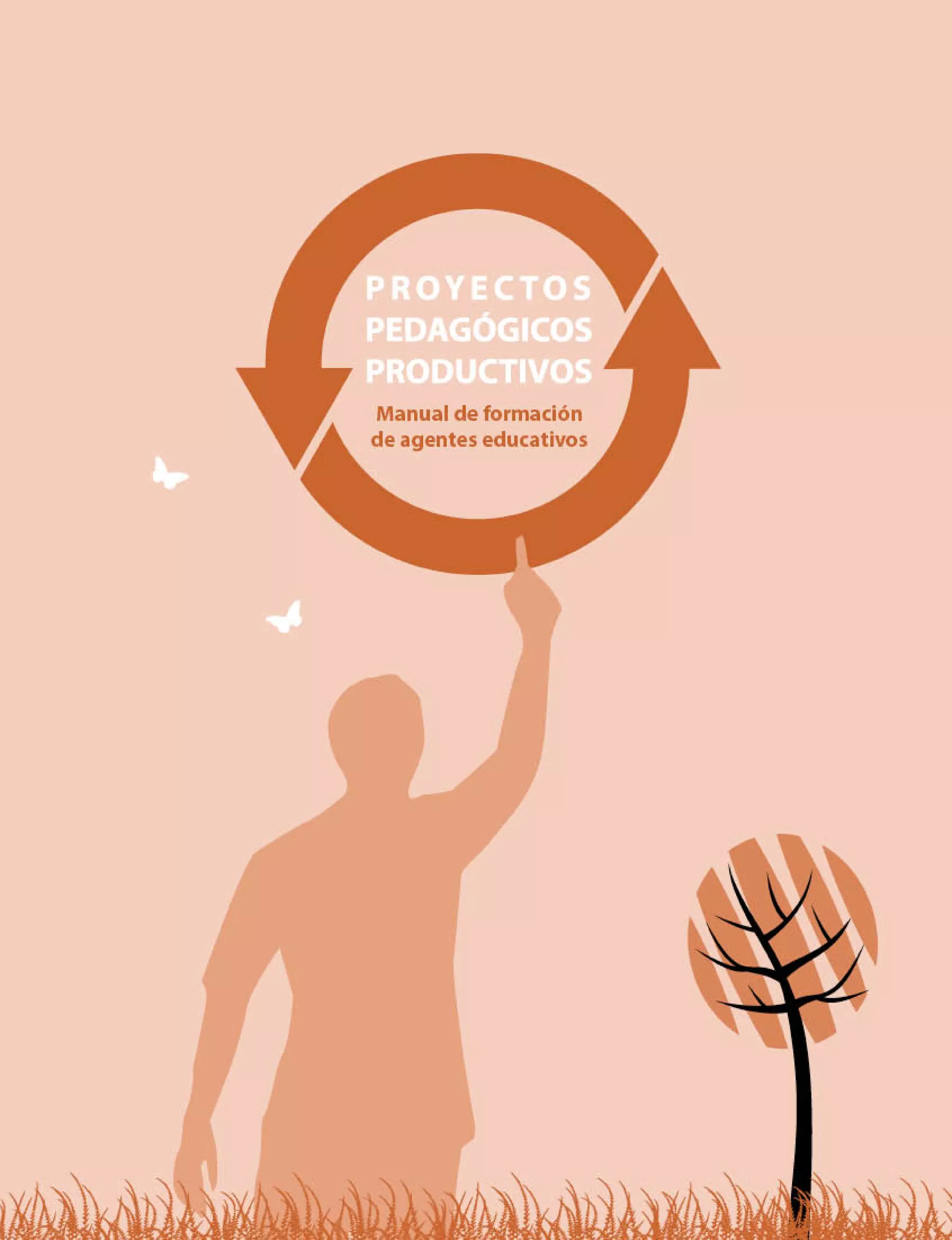 Manual ppp   men 1 (1)