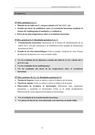 Prácticas de Microbiología de Alimentos (1º ITA)



2a SEMANA



1er DIA- prácticas 5, 6 y 7.
   Dilución de un caldo con E. coli para calcular el nº de U.F.C./ ml.
   Estudio del efecto de antibióticos sobre el crecimiento bacteriano mediante la
   técnica del Antibiograma (Cuantitativo y Cualitativo)
   Efecto de las altas temperaturas sobre el crecimiento bacteriano


2o DIA- prácticas 8 y 9. Resultados prácticas 5, 6 y 7.
    Transformación bacteriana: Realización de la técnica de transformación de un
    cultivo de E. coli (por resistencia a un antibiótico) como ejemplo de transferencia
    horizontal de DNA.
   Estudio de un virus (bacteriófagos): Cómo se pueden visualizar los virus. Ensayo
   de infección de bacterias con virus en medio sólido


   Ver los resultados de las diluciones seriadas del caldo de E.coli y cálculo del nº
   de U.F.C./ml.
   Ver los resultados de los antibiogramas
   Ver los resultados del efecto de las temperaturas sobre el crecimiento
   bacteriano


3er DIA- prácticas 10, 11 y 12. Resultados prácticas 8 y 9.
   Tinción de Esporas: Cómo se realiza y cuál es el objetivo de la misma
   Tinción de cápsula: Cómo se realiza y cuál es el objetivo de la misma
   Observación de levaduras al microscopio: Diferencias entre organismos
   procariotas y eucariotas al microscopio. Cómo es la célula levaduriforme.
   Observación de varias especies de levaduras al microscopio.


    Ver el resultado de la transformación bacteriana
    Ver placas de lisis de los virus infectando a las bacterias en medio sólido




                                 11
 