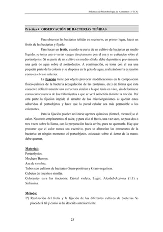 Prácticas de Microbiología de Alimentos (1º ITA)




Práctica 4: OBSERVACIÓN DE BACTERIAS TEÑIDAS


             Para observar las bacterias teñidas es necesario, en primer lugar, hacer un
frotis de las bacterias y fijarlo.
             Para hacer un frotis, cuando se parte de un cultivo de bacterias en medio
líquido, se toma una o varias cargas directamente con el asa y se extienden sobre el
portaobjetos. Si se parte de un cultivo en medio sólido, debe depositarse previamente
una gota de agua sobre el portaobjetos. A continuación, se toma con el asa una
pequeña parte de la colonia y se dispersa en la gota de agua, realizándose la extensión
como en el caso anterior.
             La fijación tiene por objeto provocar modificaciones en la composición
físico-química de la bacteria (coagulación de las proteínas, etc.) de forma que ésta
conserve definitivamente una estructura similar a la que tenía en vivo, sin deformarse
como consecuencia de los tratamientos a que se verá sometida durante la tinción. Por
otra parte la fijación impide el arrastre de los microorganismos al quedar estos
adheridos al portaobjetos y hace que la pared celular sea más permeable a los
colorantes.
            Para la fijación pueden utilizarse agentes químicos (formol, metanol) o el
calor. Nosotros emplearemos el calor, y para ello el frotis, una vez seco, se pasa dos o
tres veces sobre la llama, con la preparación hacia arriba, para no quemarla. Hay que
procurar que el calor nunca sea excesivo, pues se alterarían las estructuras de la
bacteria: en ningún momento el portaobjetos, colocado sobre el dorso de la mano,
debe quemar.


Material:
Portaobjetos.
Mechero Bunsen.
Asa de siembra.
Tubos con cultivos de bacterias Gram-positivas y Gram-negativas.
Cubetas de tinción o similar.
Colorantes para las tinciones: Cristal violeta, Lugol, Alcohol-Acetona (1:1) y
Safranina.


Método:
1º) Realización del frotis y la fijación de los diferentes cultivos de bacterias Se
    procederá tal y como se ha descrito anteriormente.




                                   23
 