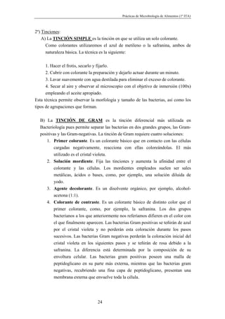 Prácticas de Microbiología de Alimentos (1º ITA)



2º) Tinciones:
    A) La TINCIÓN SIMPLE es la tinción en que se utiliza un solo colorante.
      Como colorantes utilizaremos el azul de metileno o la safranina, ambos de
      naturaleza básica. La técnica es la siguiente:


      1. Hacer el frotis, secarlo y fijarlo.
      2. Cubrir con colorante la preparación y dejarlo actuar durante un minuto.
      3. Lavar suavemente con agua destilada para eliminar el exceso de colorante.
      4. Secar al aire y observar al microscopio con el objetivo de inmersión (100x)
      empleando el aceite apropiado.
Esta técnica permite observar la morfología y tamaño de las bacterias, así como los
tipos de agrupaciones que forman.


  B) La TINCIÓN DE GRAM es la tinción diferencial más utilizada en
  Bacteriología pues permite separar las bacterias en dos grandes grupos, las Gram-
  positivas y las Gram-negativas. La tinción de Gram requiere cuatro soluciones:
     1. Primer colorante. Es un colorante básico que en contacto con las células
          cargadas negativamente, reacciona con ellas coloreándolas. El más
          utilizado es el cristal violeta.
     2. Solución mordiente. Fija las tinciones y aumenta la afinidad entre el
          colorante y las células. Los mordientes empleados suelen ser sales
          metálicas, ácidos o bases, como, por ejemplo, una solución diluida de
          yodo.
     3. Agente decolorante. Es un disolvente orgánico, por ejemplo, alcohol-
          acetona (1:1).
     4. Colorante de contraste. Es un colorante básico de distinto color que el
          primer colorante, como, por ejemplo, la safranina. Los dos grupos
          bacterianos a los que anteriormente nos referíamos difieren en el color con
          el que finalmente aparecen. Las bacterias Gram positivas se teñirán de azul
          por el cristal violeta y no perderán esta coloración durante los pasos
          sucesivos. Las bacterias Gram negativas perderán la coloración inicial del
          cristal violeta en los siguientes pasos y se teñirán de rosa debido a la
          safranina. La diferencia está determinada por la composición de su
          envoltura celular. Las bacterias gram positivas poseen una malla de
          peptidoglicano en su parte más externa, mientras que las bacterias gram
          negativas, recubriendo una fina capa de peptidoglicano, presentan una
          membrana externa que envuelve toda la célula.




                                  24
 