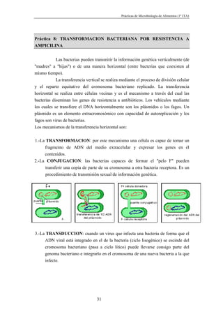 Prácticas de Microbiología de Alimentos (1º ITA)




Práctica 8: TRANSFORMACION BACTERIANA POR RESISTENCIA A
AMPICILINA


            Las bacterias pueden transmitir la información genética verticalmente (de
"madres" a "hijas") o de una manera horizontal (entre bacterias que coexisten al
mismo tiempo).
            La transferencia vertical se realiza mediante el proceso de división celular
y el reparto equitativo del cromosoma bacteriano replicado. La transferencia
horizontal se realiza entre células vecinas y es el mecanismo a través del cual las
bacterias diseminan los genes de resistencia a antibióticos. Los vehículos mediante
los cuales se transfiere el DNA horizontalmente son los plásmidos o los fagos. Un
plásmido es un elemento extracromosómico con capacidad de autoreplicación y los
fagos son virus de bacterias.
Los mecanismos de la transferencia horizontal son:


1.-La TRANSFORMACION: por este mecanismo una célula es capaz de tomar un
     fragmento de ADN del medio extracelular y expresar los genes en él
     contenidos.
2.-La CONJUGACION: las bacterias capaces de formar el "pelo F" pueden
      transferir una copia de parte de su cromosoma a otra bacteria receptora. Es un
      procedimiento de transmisión sexual de información genética.




3.-La TRANSDUCCION: cuando un virus que infecta una bacteria de forma que el
     ADN viral está integrado en el de la bacteria (ciclo lisogénico) se escinde del
     cromosoma bacteriano (pasa a ciclo lítico) puede llevarse consigo parte del
     genoma bacteriano e integrarlo en el cromosoma de una nueva bacteria a la que
     infecte.




                                   31
 