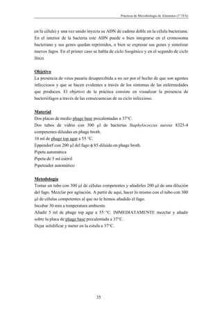 Prácticas de Microbiología de Alimentos (1º ITA)



en la célula) y una vez unido inyecta su ADN de cadena doble en la célula bacteriana.
En el interior de la bacteria este ADN puede o bien integrarse en el cromosoma
bacteriano y sus genes quedan reprimidos, o bien se expresar sus genes y sintetizar
nuevos fagos. En el primer caso se habla de ciclo lisogénico y en el segundo de ciclo
lítico.


Objetivo
La presencia de virus pasaría desapercibida a no ser por el hecho de que son agentes
infecciosos y que se hacen evidentes a través de los síntomas de las enfermedades
que producen. El objetivo de la práctica consiste en visualizar la presencia de
bacteriófagos a través de las consecuencias de su ciclo infeccioso.


Material
Dos placas de medio phage base precalentadas a 37°C.
Dos tubos de vidrio con 300 µl de bacterias Staphylococcus aureus 8325-4
competentes diluidas en phage broth.
10 ml de phage top agar a 55 °C.
Eppendorf con 200 µl del fago φ 85 diluido en phage broth.
Pipeta automática
Pipeta de 5 ml estéril
Pipeteador automático


Metodología
Tomar un tubo con 300 µl de células competentes y añadirles 200 µl de una dilución
del fago. Mezclar por agitación. A partir de aquí, hacer lo mismo con el tubo con 300
µl de células competentes al que no le hemos añadido el fago.
Incubar 30 min a temperatura ambiente.
Añadir 5 ml de phage top agar a 55 °C. IMMEDIATAMENTE mezclar y añadir
sobre la placa de phage base precalentada a 37°C.
Dejar solidificar y meter en la estufa a 37°C.




                                  35
 
