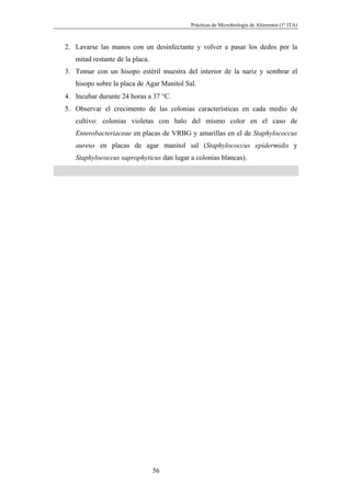 Prácticas de Microbiología de Alimentos (1º ITA)



2. Lavarse las manos con un desinfectante y volver a pasar los dedos por la
   mitad restante de la placa.
3. Tomar con un hisopo estéril muestra del interior de la nariz y sembrar el
   hisopo sobre la placa de Agar Manitol Sal.
4. Incubar durante 24 horas a 37 °C.
5. Observar el crecimento de las colonias características en cada medio de
   cultivo: colonias violetas con halo del mismo color en el caso de
   Enterobacteriaceae en placas de VRBG y amarillas en el de Staphylococcus
   aureus en placas de agar manitol sal (Staphylococcus epidermidis y
   Staphylococcus saprophyticus dan lugar a colonias blancas).




                                 56
 