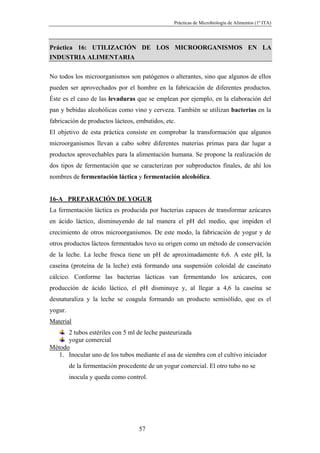 Prácticas de Microbiología de Alimentos (1º ITA)




Práctica 16: UTILIZACIÓN DE LOS MICROORGANISMOS EN LA
INDUSTRIA ALIMENTARIA

No todos los microorganismos son patógenos o alterantes, sino que algunos de ellos
pueden ser aprovechados por el hombre en la fabricación de diferentes productos.
Éste es el caso de las levaduras que se emplean por ejemplo, en la elaboración del
pan y bebidas alcohólicas como vino y cerveza. También se utilizan bacterias en la
fabricación de productos lácteos, embutidos, etc.
El objetivo de esta práctica consiste en comprobar la transformación que algunos
microorganismos llevan a cabo sobre diferentes materias primas para dar lugar a
productos aprovechables para la alimentación humana. Se propone la realización de
dos tipos de fermentación que se caracterizan por subproductos finales, de ahí los
nombres de fermentación láctica y fermentación alcohólica.


16-A PREPARACIÓN DE YOGUR
La fermentación láctica es producida por bacterias capaces de transformar azúcares
en ácido láctico, disminuyendo de tal manera el pH del medio, que impiden el
crecimiento de otros microorganismos. De este modo, la fabricación de yogur y de
otros productos lácteos fermentados tuvo su origen como un método de conservación
de la leche. La leche fresca tiene un pH de aproximadamente 6,6. A este pH, la
caseína (proteína de la leche) está formando una suspensión coloidal de caseinato
cálcico. Conforme las bacterias lácticas van fermentando los azúcares, con
producción de ácido láctico, el pH disminuye y, al llegar a 4,6 la caseína se
desnaturaliza y la leche se coagula formando un producto semisólido, que es el
yogur.
Material
      2 tubos estériles con 5 ml de leche pasteurizada
      yogur comercial
Método
   1. Inocular uno de los tubos mediante el asa de siembra con el cultivo iniciador
         de la fermentación procedente de un yogur comercial. El otro tubo no se
         inocula y queda como control.




                                   57
 