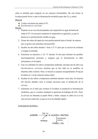 Prácticas de Microbiología de Alimentos (1º ITA)



sobre el almidón para romperlo en sus azúcares fermentables. De esta forma, la
levadura puede llevar a cabo la fermentación alcohólica para dar Co2 y etanol.
Material
      2 tubos con harina de malta al 5%
      Saccharomyces cerevisiae
Método
   1. Preparar en un vaso de precipitados una suspensión en agua de harina de
       malta al 5%. Es necesario mantener la suspensión en agitación, ya que la
       harina no es perfectamente soluble en agua.
   2. Llenar dos tubos de tapón de rosca prácticamente hasta el borde, de manera
       que se genere una atmósfera microaerófila.
   3. Incubar los dos tubos durante 1 hora a 75 °C para que se activen las amilasas
       y rompan el almidón.
   4. Esterilizar en autoclave a 121 °C durante 10 min para eliminar los posibles
       microorganismos presentes y asegurar que la fermentación se debe
       únicamente a la levadura.
   5. Una vez enfriados los tubos a temperatura ambiente, inocular uno de ellos con
       Saccharomyces cerevisiae mientras que el otro tubo no se modifica en
       absoluto (tubo control). Nota: el inóculo se prepara resuspendiendo 29 mg de
       levadura en 1 ml de solución salina estéril.
   6. Incubar los dos tubos a temperatura ambiente durante varios días. En función
       del inóculo añadido varía el tiempo necesario para la producción de la
       cerveza.
   7. Solamente en el tubo que contiene la levadura se producirá la fermentación
       alcohólica, que se visualiza mediante la aparición de burbujas de CO2. Nota:
       la cerveza así obtenida se puede filtrar y beber, aunque su sabor no es el de
       una cerveza comercial, ya que no se le ha añadido lúpulo.


   Fermentación alcohólica




                                   59
 