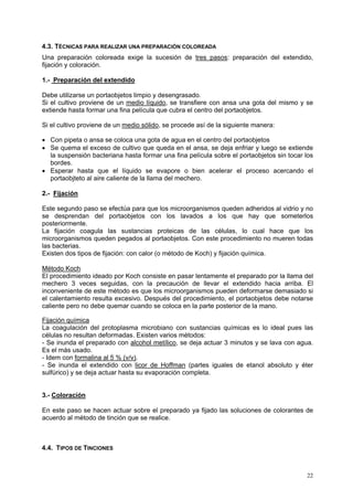 4.3. TÉCNICAS PARA REALIZAR UNA PREPARACIÓN COLOREADA
Una preparación coloreada exige la sucesión de tres pasos: preparación del extendido,
fijación y coloración.

1.- Preparación del extendido

Debe utilizarse un portaobjetos limpio y desengrasado.
Si el cultivo proviene de un medio líquido, se transfiere con ansa una gota del mismo y se
extiende hasta formar una fina película que cubra el centro del portaobjetos.

Si el cultivo proviene de un medio sólido, se procede así de la siguiente manera:

• Con pipeta o ansa se coloca una gota de agua en el centro del portaobjetos
• Se quema el exceso de cultivo que queda en el ansa, se deja enfriar y luego se extiende
  la suspensión bacteriana hasta formar una fina película sobre el portaobjetos sin tocar los
  bordes.
• Esperar hasta que el líquido se evapore o bien acelerar el proceso acercando el
  portaobjteto al aire caliente de la llama del mechero.

2.- Fijación

Este segundo paso se efectúa para que los microorganismos queden adheridos al vidrio y no
se desprendan del portaobjetos con los lavados a los que hay que someterlos
posteriormente.
La fijación coagula las sustancias proteicas de las células, lo cual hace que los
microorganismos queden pegados al portaobjetos. Con este procedimiento no mueren todas
las bacterias.
Existen dos tipos de fijación: con calor (o método de Koch) y fijación química.

Método Koch
El procedimiento ideado por Koch consiste en pasar lentamente el preparado por la llama del
mechero 3 veces seguidas, con la precaución de llevar el extendido hacia arriba. El
inconveniente de este método es que los microorganismos pueden deformarse demasiado si
el calentamiento resulta excesivo. Después del procedimiento, el portaobjetos debe notarse
caliente pero no debe quemar cuando se coloca en la parte posterior de la mano.

Fijación química
La coagulación del protoplasma microbiano con sustancias químicas es lo ideal pues las
células no resultan deformadas. Existen varios métodos:
- Se inunda el preparado con alcohol metílico, se deja actuar 3 minutos y se lava con agua.
Es el más usado.
- Idem con formalina al 5 % (v/v).
- Se inunda el extendido con licor de Hoffman (partes iguales de etanol absoluto y éter
sulfúrico) y se deja actuar hasta su evaporación completa.


3.- Coloración

En este paso se hacen actuar sobre el preparado ya fijado las soluciones de colorantes de
acuerdo al método de tinción que se realice.



4.4. TIPOS DE TINCIONES



                                                                                          22
 
