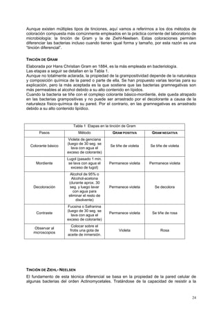 Aunque existen múltiples tipos de tinciones, aquí vamos a referirnos a los dos métodos de
coloración compuesta más comúnmente empleados en la práctica corriente del laboratorio de
microbiología: la tinción de Gram y la de Ziehl-Neelsen. Estas coloraciones permiten
diferenciar las bacterias incluso cuando tienen igual forma y tamaño, por esta razón es una
“tinción diferencial”.

TINCIÓN DE GRAM
Elaborada por Hans Christian Gram en 1884, es la más empleada en bacteriología.
Las etapas a seguir se detallan en la Tabla 1.
Aunque no totalmente aclarada, la propiedad de la grampositividad depende de la naturaleza
y composición química de la pared o parte de ella. Se han propuesto varias teorías para su
explicación, pero la más aceptada es la que sostiene que las bacterias gramnegativas son
más permeables al alcohol debido a su alto contenido en lípidos.
Cuando la bacteria se tiñe con el complejo colorante básico-mordiente, éste queda atrapado
en las bacterias grampositivas y no puede ser arrastrado por el decolorante a causa de la
naturaleza físico-química de su pared. Por el contrario, en las gramnegativas es arrastrado
debido a su alto contenido lipídico.



                         Tabla 1 Etapas en la tinción de Gram
       Pasos                Método             GRAM POSITIVA        GRAM NEGATIVA
                     Violeta de genciana
                     (luego de 30 seg. se
  Colorante básico                            Se tiñe de violeta   Se tiñe de violeta
                        lava con agua el
                     exceso de colorante)
                     Lugol (pasado 1 min.
     Mordiente        se lava con agua el    Permanece violeta     Permanece violeta
                       exceso de lugol)
                       Alcohol de 95% o
                        Alcohol-acetona
                      (durante aprox. 30
   Decoloración        seg. y luego lavar    Permanece violeta        Se decolora
                         con agua para
                      eliminar el resto de
                           disolvente)
                     Fucsina o Safranina
                     (luego de 30 seg. se
     Contraste                               Permanece violeta      Se tiñe de rosa
                        lava con agua el
                     exceso de colorante)
                        Colocar sobre el
   Observar al
                       frotis una gota de          Violeta               Rosa
   microscopios
                      aceite de inmersión.




TINCIÓN DE ZIEHL- NEELSEN
El fundamento de esta técnica diferencial se basa en la propiedad de la pared celular de
algunas bacterias del orden Actinomycetales. Tratándose de la capacidad de resistir a la


                                                                                        24
 