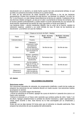 decoloración con un alcohol y un ácido fuerte cuando han sido previamente teñidas, lo cual
se debe a la presencia de ácidos micólicos en su pared celular.
El resto de las estructuras de estas bacterias son similares a los de las bacterias
grampositivas. Existen dos variantes de esta técnica: una llamada “en caliente” y la otra “en
frío” (o de Kinyoun), en este trabajo desarrollaremos la técnica en caliente. Cualquiera de las
dos técnicas citadas consiguen, ya sea por el calor o aumentando el tiempo de contacto, que
la fucsina penetre profundamente y pueda resistir la acción decolorante de una solución de
ácido-alcohol, apareciendo los bacilos de color rosa sobre un fondo azul (tabla 2).
Las bacterias ácido – alcohol resistentes (BAAR), tras la unión de la fuscina, resisten la
coloración orgánica posterior y se verán teñidas de rosa. El resto de las bacterias se
decolorarán y se teñiran con azul de metileno.

                     Tabla 1 Etapas en la tinción de Ziehl – Neelsen
                                               ÁCIDO – ALCOHOL         NO ÁCIDO – ALCOHOL
       Pasos                 Método
                                                 RESISTENTE                RESISTENTE
  Colorante básico           Fucsina                   ….                      ….
                           Calentar la
                       preparación hasta
                         que aparezcan
       Calor            humos blancos.           Se tiñe de rosa         Se tiñe de rosa
                      Lavar con abundante
                       agua el exceso de
                            colrante
                       Alcohol – clorhidrico
                        (aprox. 30 seg. y
    Decoloración                                Permanece rosa            Se decolora
                         lavar el resto de
                           decolorante)
                         Azul de metileno
                      (luego de 30 seg. se
     Contraste                                  Permanece rosa           Se tiñe de azul
                         lava con agua el
                      exceso de colorante)
                         Colocar sobre el
    Observar al
                        frotis una gota de           Rosa                     Azul
    microscopios
                       aceite de inmersión.


4.5. ANEXO
                                SOLUCIONES COLORANTES

Soluciones madre
Son soluciones saturadas de colorante, de conservación indefinida, a partir de las cuales se
preparan las soluciones de uso mediante dilución en medio acuoso. Las soluciones madres
se preparan en alcohol.
Preparación: se pueden seguir dos técnicas:
-Triturar el colorante en el mortero, agregar de a poco el alcohol e ir pasando de a poco a un
frasco color caramelo.
-Colocar el colorante en un frasco color caramelo que contiene perlas de vidrio hasta 1 cm
de altura. Agregar posteriormente la cantidad de alcohol necesaria y agitar vigorosamente
varias veces durante 2 días. Esta técnica es la más aconsejable por su simplicidad y
prolijidad.
Antes del uso se deja reposar 24 horas para que el colorante no disuelto sedimente. Para
preparar las soluciones de uso se pipetea del sobrenadante.



                                                                                            25
 