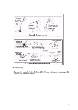 7.7. BIBLIOGRAFÍA

-   Gamazo, C., López-Goñi, I., y R. Díaz. 2005. Manual práctico de microbiología. Ed.
    Masson. S.A. Barcelona. España




                                                                                    47
 