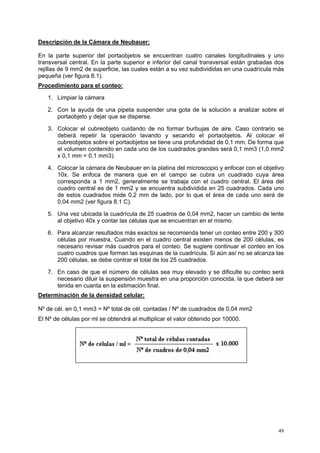 Descripción de la Cámara de Neubauer:

En la parte superior del portaobjetos se encuentran cuatro canales longitudinales y uno
transversal central. En la parte superior e inferior del canal transversal están grabadas dos
rejillas de 9 mm2 de superficie, las cuales están a su vez subdivididas en una cuadrícula más
pequeña (ver figura 8.1).
Procedimiento para el conteo:

   1. Limpiar la cámara

   2. Con la ayuda de una pipeta suspender una gota de la solución a analizar sobre el
      portaobjeto y dejar que se disperse.

   3. Colocar el cubreobjeto cuidando de no formar burbujas de aire. Caso contrario se
      deberá repetir la operación lavando y secando el portaobjetos. Al colocar el
      cubreobjetos sobre el portaobjetos se tiene una profundidad de 0,1 mm. De forma que
      el volumen contenido en cada uno de los cuadrados grandes será 0,1 mm3 (1,0 mm2
      x 0,1 mm = 0,1 mm3).

   4. Colocar la cámara de Neubauer en la platina del microscopio y enfocar con el objetivo
      10x. Se enfoca de manera que en el campo se cubra un cuadrado cuya área
      corresponda a 1 mm2, generalmente se trabaja con el cuadro central. El área del
      cuadro central es de 1 mm2 y se encuentra subdividida en 25 cuadrados. Cada uno
      de estos cuadrados mide 0,2 mm de lado, por lo que el área de cada uno será de
      0,04 mm2 (ver figura 8.1 C).

   5. Una vez ubicada la cuadrícula de 25 cuadros de 0,04 mm2, hacer un cambio de lente
      al objetivo 40x y contar las células que se encuentran en el mismo.

   6. Para alcanzar resultados más exactos se recomienda tener un conteo entre 200 y 300
      células por muestra. Cuando en el cuadro central existen menos de 200 células, es
      necesario revisar más cuadros para el conteo. Se sugiere continuar el conteo en los
      cuatro cuadros que forman las esquinas de la cuadrícula. Si aún así no se alcanza las
      200 células, se debe contrar el total de los 25 cuadrados.

   7. En caso de que el número de células sea muy elevado y se dificulte su conteo será
      necesario diluir la suspensión muestra en una proporción conocida, la que deberá ser
      tenida en cuanta en la estimación final.
Determinación de la densidad celular:

Nº de cél. en 0,1 mm3 = Nº total de cél. contadas / Nº de cuadrados de 0,04 mm2
El Nº de células por ml se obtendrá al multiplicar el valor obtenido por 10000.




                                                                                          49
 