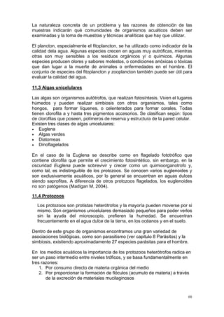 La naturaleza concreta de un problema y las razones de obtención de las
muestras indicarán qué comunidades de organismos acuáticos deben ser
examinadas y la toma de muestras y técnicas analíticas que hay que utilizar.

El plancton, especialmente el fitoplancton, se ha utilizado como indicador de la
calidad dela agua. Algunas especies crecen en aguas muy eutróficas, mientras
otras son muy sensibles a los residuos orgánicos y/ o químicos. Algunas
especies producen olores y sabores molestos, o condiciones anóxicas o tóxicas
que dan lugar a la muerte de animales o enfermedades en el hombre. El
conjunto de especies del fitoplancton y zooplancton también puede ser útil para
evaluar la calidad del agua.

11.3 Algas unicelulares

Las algas son organismos autótrofos, que realizan fotosíntesis. Viven el lugares
húmedos y pueden realizar simbiosis con otros organismos, tales como
hongos, para formar líquenes, o celenterados para formar corales. Todas
tienen clorofila a y hasta tres pigmentos accesorios. Se clasifican según: tipos
de clorofilas que poseen, polímeros de reserva y estructura de la pared celular.
Existen tres clases de algas unicelulares:
• Euglena
• Algas verdes
• Diatomeas
• Dinoflagelados

En el caso de la Euglena se describe como en flagelado fototrófico que
contiene clorofila que permite el crecimiento fotosintético, sin embargo, en la
oscuridad Euglena puede sobrevivir y crecer como un quimioorganotrofo y,
como tal, es indistinguible de los protozoos. Se conocen varios euglenoides y
son exclusivamente acuáticos, por lo general se encuentran en aguas dulces
siendo saprofitas. A diferencia de otros protozoos flagelados, los euglenoides
no son patógenos (Madigan M, 2004).

11.4 Protozoos

  Los protozoos son protistas heterótrofos y la mayoría pueden moverse por si
  mismo. Son organismos unicelulares demasiado pequeños para poder verlos
  sin la ayuda del microscopio, prefieren la humedad. Se encuentran
  frecuentemente en el agua dulce de la tierra, en los océanos y en el suelo.

Dentro de este grupo de organismos encontramos una gran variedad de
asociaciones biológicas, como son parasitismo (ver capitulo 8 Parásitos) y la
simbiosis, existiendo aproximadamente 27 especies parásitas para el hombre.

En los medios acuáticos la importancia de los protozoos heterótrofos radica en
ser un paso intermedio entre niveles tróficos, y se basa fundamentalmente en
tres razones:
    1. Por consumo directo de materia orgánica del medio
    2. Por proporcionar la formación de flóculos (acumulo de materia) a través
       de la excreción de materiales mucilaginosos



                                                                              68
 