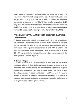 vivas, porque el canibalismo aumenta cuando las dietas son muertas (Van
Heukelem, 1983). Durante la fase juvenil, las tasas de crecimiento varían entre
4% por día a 20ºC y 7.8% por día, a 30ºC. El periodo de crecimiento
exponencial fue estimado en 165, 105 y 75 días, para las temperaturas de 20,
25 y 30°C, respectivamente. Las tasas de alimentación (a temperaturas medias
de 25ºC) varían entre 20 % de su peso por día en las primeras fases de la vida,
hasta un 5% al acercarse la etapa reproductiva (Hanlon y Forsythe, 1985).


PROCEDIMIENTOS PARA LA PRODUCCIÓN DE CRÍAS EN CAUTIVERIO.
I. Infraestructura
El área de reproducción consiste de una nave de 8 x 12m, con temperatura y
luz controladas. Para la maduración y desove de las hembras se requieren
tanques de 500 L con agua de mar de alta calidad. El agua de mar debe de
mantenerse con las siguientes características: 32 a 36 UPS, 24 a 28°C, 4 a 6
mg/L de O2 disuelto, y niveles menores de 1 mg/L de amonio total y de entre
0.8 y 1.1 mg de nitritio. La intensidad luminosa deberá mantenerse en niveles
no mayores de 70 lux/cm2 (Figura 7).


II. Calidad del agua
Con el fin de mantener la calidad ambiental, el agua debe ser parcialmente
recirculada a través de filtros de lecho profundo los cuales se deben llenar con
antracita@ como material filtrante. La antracita tiene la propiedad de poder
retener partículas de entre 3 a 5 µm y el amonio disuelto. Así mismo, el agua
deberá de pasarse a través de una lámpara de luz UV con el fin de reducir al
máximo la presencia de bacterias patógenas en el sistema. En la figura 8 se
muestran los niveles de los factores ambientales en los cuales las hembras de
O. maya maduran y desovan apropiadamente.




                                                                             13
 