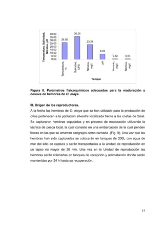 36.26


        Temperatura, Salinidad,
                                  40.00
                                  35.00
                                  30.00   26.50

             Nitratos, pH
                                                                      23.21
                                  25.00
                                  20.00
                                  15.00
                                                                                  8.23
                                  10.00
                                   5.00                                                   0.62       0.64
                                   0.00
                                          Temperatura,




                                                                                     pH
                                                         Salinidad,



                                                                      Nitratos,




                                                                                          Amonio,



                                                                                                    Nitritios,
                                                                                           mg/l



                                                                                                      mg/l
                                                                        mg/l
                                                           UPS
                                              °C



                                                                            Tanque



Figura 8. Parámetros fisicoquímicos adecuados para la maduración y
desove de hembras de O. maya.


III. Origen de los reproductores.
A la fecha las hembras de O. maya que se han utilizado para la producción de
crías pertenecen a la población silvestre localizada frente a las costas de Sisal.
Se capturaron hembras copuladas y en proceso de maduración utilizando la
técnica de pesca local, la cual consiste en una embarcación de la cual penden
líneas en las que se amarran cangrejos como carnada (Fig. 9). Una vez que las
hembras han sido capturadas se colocarán en tanques de 200L con agua de
mar del sitio de captura y serán transportadas a la unidad de reproducción en
un lapso no mayor de 30 min. Una vez en la Unidad de reproducción las
hembras serán colocadas en tanques de recepción y aclimatación donde serán
mantenidas por 24 h hasta su recuperación.




                                                                                                                 15
 
