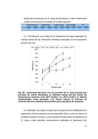 producción de biomasa de O. maya puede llevarse a cabo manteniendo
      niveles como los que se muestran en la tabla siguiente.
         Temperatura (oC)               Salinidad (‰)      Oxigeno (mg/l)    Amonio (mg/l)            PH
         Mínima   Maximo               Mínima    Maximo   Mínimo Maximo     Mínimo Maximo    Mínimo     Maximo
         24.65     29.23               35.71      35.72    4.93     5.23     1.00    1.41     7.61       7.79




      b.1. Temperatura. Los niveles de la temperatura del agua dependen de
   manera directa de las variaciones climáticas asociadas con las estaciones
   del año (Fig. 20)

                               Cultivo 1: 29°C    Cultivo 2: 26°C       Cultivo 3: 24°C
                               1050

                                950

                                850

                                750
                Peso vivo, g




                                650

                                550

                                450

                                350

                                250
                                          0       7         14       21         28
                                                      Tiempo, días


Fig. 20. Variaciones del peso vivo de juveniles de O. maya durante tres
periodos de cultivo efectuados en distintos meses del año donde las
temperaturas oscilaron entre 29°C (Cultivo 1) y 24°C (Cultivo 3). Valores
representados como promedio. Las barras indican el intervalo de
variación del error estándar del promedio para cada fecha de muestreo.



      b.2. Salinidad. Los pulpos, al igual que la mayoría de los cefalópodos son
   organismos marinos estrictos ya que desarrollan todo su ciclo de vida en el
   ambiente oceánico. Aunque no hay estudios formales sobre la resistencia de
   O. maya a baja salinidad, observaciones realizadas en laboratorio han


                                                                                                         25
 