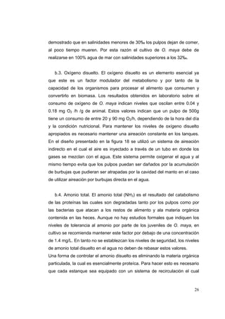 demostrado que en salinidades menores de 30‰ los pulpos dejan de comer,
al poco tiempo mueren. Por esta razón el cultivo de O. maya debe de
realizarse en 100% agua de mar con salinidades superiores a los 32‰.


   b.3. Oxígeno disuelto. El oxígeno disuelto es un elemento esencial ya
que este es un factor modulador del metabolismo y por tanto de la
capacidad de los organismos para procesar el alimento que consumen y
convertirlo en biomasa. Los resultados obtenidos en laboratorio sobre el
consumo de oxígeno de O. maya indican niveles que oscilan entre 0.04 y
0.18 mg O2 /h /g de animal. Estos valores indican que un pulpo de 500g
tiene un consumo de entre 20 y 90 mg O2/h, dependiendo de la hora del día
y la condición nutricional. Para mantener los niveles de oxígeno disuelto
apropiados es necesario mantener una aireación constante en los tanques.
En el diseño presentado en la figura 18 se utilizó un sistema de aireación
indirecto en el cual el aire es inyectado a través de un tubo en donde los
gases se mezclan con el agua. Este sistema permite oxigenar el agua y al
mismo tiempo evita que los pulpos puedan ser dañados por la acumulación
de burbujas que pudieran ser atrapadas por la cavidad del manto en el caso
de utilizar aireación por burbujas directa en el agua.


   b.4. Amonio total. El amonio total (NH3) es el resultado del catabolismo
de las proteínas las cuales son degradadas tanto por los pulpos como por
las bacterias que atacan a los restos de alimento y ala materia orgánica
contenida en las heces. Aunque no hay estudios formales que indiquen los
niveles de tolerancia al amonio por parte de los juveniles de O. maya, en
cultivo se recomienda mantener este factor por debajo de una concentración
de 1.4 mg/L. En tanto no se establezcan los niveles de seguridad, los niveles
de amonio total disuelto en el agua no deben de rebasar estos valores.
Una forma de controlar el amonio disuelto es eliminando la materia orgánica
particulada, la cual es esencialmente proteíca. Para hacer esto es necesario
que cada estanque sea equipado con un sistema de recirculación el cual



                                                                          26
 