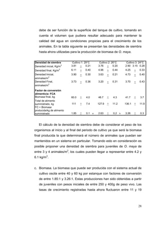 debe de ser función de la superficie del tanque de cultivo, tomando en
   cuenta el volumen que pudiera resultar adecuado para mantener la
   calidad del agua en condiciones propicias para el crecimiento de los
   animales. En la tabla siguiente se presentan las densidades de siembra
   hasta ahora utilizadas para la producción de biomasa de O. maya.


Densidad de siembra         Cultivo 1: 29°C        Cultivo 2: 26°C        Cultivo 3: 24°C
Densidad inicial, Kg/m
                       3   3.81 + 0.21            3.76 + 0.20            2.90 3.15 0.28
Densidad final, Kg/m
                       3   6.11   +   0.40        4.96    +   0.44       4.25    +   0.33
Densidad Inicial,          3.90   +   0.30        3.63    +   0.21       4.73    +   0.40
           2
animales/m
Densidad Final,            3.73   +   0.36        3.20    +   0.31       3.70    +   0.43
           2
animales/m
Factor de conversión
alimenticia: FCA
Biomasa final, kg          60.0   +    4.0        48.7    +   4.3        41.7    +    3.7
Total de alimento
suministrado, kg           111    +    7.4        127.9   +   11.2       136.1   +   11.9
FC = Biomasa
producida/kg de alimento
suministrado               1.85   +    0.1    a   2.63    +   0.2    b   3.26    +    0.3



   El cálculo de la densidad de siembra debe de considerar el peso de los
organismos al inicio y al final del periodo de cultivo ya que será la biomasa
final producida la que determinará el número de animales que puedan ser
mantenidos en un sistema en particular. Tomando esto en consideración es
posible proponer una densidad de siembra para juveniles de O. maya de
entre 3 y 4 animales/m2, los cuales pueden llegar a representar entre 4.2 y
6.1 kg/m3.


c. Biomasa. La biomasa que puede ser producida con el sistema actual de
   cultivo oscila entre 40 y 60 kg por estanque con factores de conversión
   de entre 1.85:1 y 3.26:1. Estas producciones han sido obtenidas a partir
   de juveniles con pesos iniciales de entre 250 y 400g de peso vivo. Las
   tasas de crecimiento registradas hasta ahora fluctuaron entre 11 y 19




                                                                                     28
 