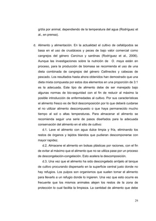 g/día por animal, dependiendo de la temperatura del agua (Rodríguez et
   al., en prensa).


d. Alimento y alimentación. En la actualidad el cultivo de cefalópodos se
   basa en el uso de crustáceos y peces de bajo valor comercial como
   cangrejos del género Carcinus y sardinas (Rodríguez et al., 2006).
   Aunque las investigaciones sobre la nutrición de     O. maya están en
   proceso, para la producción de biomasa se recomienda el uso de una
   dieta combinada de cangrejos del género Callinectes y cabezas de
   pescado. Los resultados hasta ahora obtenidos han demostrado que una
   dieta mixta compuesta por estos dos elementos en una proporción de 3:1
   es la adecuada. Este tipo de alimento debe de ser manejado bajo
   algunas normas de bio-seguridad con el fin de reducir al máximo la
   posible introducción de enfermedades al cultivo. Por sus características
   el alimento fresco es de fácil descomposición por lo que deberá cuidarse
   el no utilizar alimento descompuesto o que haya permanecido mucho
   tiempo al sol o altas temperaturas. Para almacenar el alimento se
   recomienda seguir una serie de pasos diseñados para la adecuada
   conservación del alimento en el sitio de cultivo:
      d.1. Lave el alimento con agua dulce limpia y fría, eliminando los
   restos de órganos y tejidos blandos que pudieran descomponerse con
   mayor rapidez.
      d.2. Almacene el alimento en bolsas plásticas por raciones, con el fin
   de evitar al máximo que el alimento que no se utiliza pase por un proceso
   de descongelación-congelación. Esto acelera la descomposición.
      d.3. Una vez que el alimento ha sido descongelado arrójelo al tanque
   de cultivo procurando dispersarlo en la superficie central justo donde no
   hay refugios. Los pulpos son organismos que suelen tomar el alimento
   para llevarlo a un refugio donde lo ingieren. Una vez que esto ocurre es
   frecuente que los mismos animales alejen los restos de la zona de
   protección lo cual facilita la limpieza. La cantidad de alimento que debe



                                                                         29
 