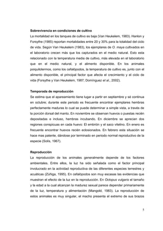 Sobrevivencia en condiciones de cultivo
La mortalidad en los tanques de cultivo es baja (Van Heukelem, 1983). Hanlon y
Forsythe (1985) reportan mortalidades entre 20 y 30% para la totalidad del ciclo
de vida. Según Van Heukelem (1983), los ejemplares de O. maya cultivados en
el laboratorio crecen más que los capturados en el medio natural. Esto esta
relacionado con la temperatura media de cultivo, más elevada en el laboratorio
que en el medio natural, y el alimento disponible. En los animales
poiquilotermos, como los cefalópodos, la temperatura de cultivo es, junto con el
alimento disponible, el principal factor que afecta el crecimiento y el ciclo de
vida (Forsythe y Van Heukelem, 1987; Domínguez et al., 2002).


Temporada de reproducción
Se estima que el apareamiento tiene lugar a partir en septiembre y sé continua
en octubre; durante este periodo es frecuente encontrar ejemplares hembras
perfectamente maduras lo cual se puede determinar a simple vista, a través de
la porción dorsal del manto. En noviembre se observan huevos o puestas recién
depositadas e incluso, hembras incubando. En diciembre se aprecian dos
regiones conspicuas en cada huevo: El embrión y el saco vitelino. En enero es
frecuente encontrar huevos recién eclosionados. En febrero esta situación se
hace mas patente, dándose por terminado en periodo normal reproductivo de la
especie (Solís, 1967).


Reproducción
La reproducción de los animales generalmente depende de los factores
ambientales. Entre ellos, la luz ha sido señalada como el factor principal
involucrado en la actividad reproductiva de las diferentes especies terrestres y
acuáticas (Zúñiga, 1995). En cefalópodos son muy escasas las evidencias que
muestran el efecto de la luz en la reproducción. En Octopus vulgaris el tamaño
y la edad a la cual alcanzan la madurez sexual parece depender primariamente
de la luz, temperatura y alimentación (Mangold, 1983). La reproducción de
estos animales es muy singular, el macho presenta el extremo de sus brazos



                                                                              5
 