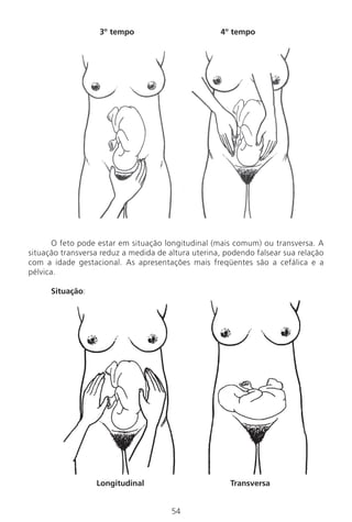 54
3º tempo 4º tempo
O feto pode estar em situação longitudinal (mais comum) ou transversa. A
situação transversa reduz a medida de altura uterina, podendo falsear sua relação
com a idade gestacional. As apresentações mais freqüentes são a cefálica e a
pélvica.
Situação:
Longitudinal Transversa
Manual Puerpério 19/09/06.indd 54 11/1/06 7:03:44 PM
 