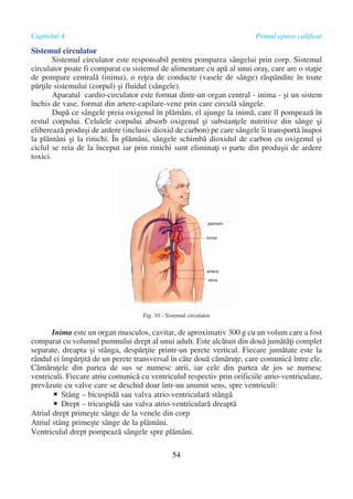 Artera Inima Manual prim-ajutor.pdf