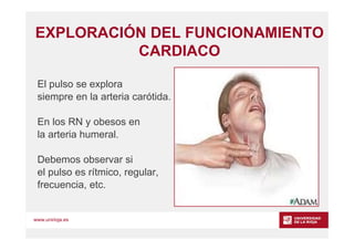www.unirioja.es
EXPLORACIÓN DEL FUNCIONAMIENTO
CARDIACO
El pulso se explora
siempre en la arteria carótida.
En los RN y ob...