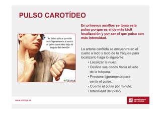 www.unirioja.es
PULSO CAROTÍDEO
En primeros auxilios se toma este
pulso porque es el de más fácil
localización y por ser e...