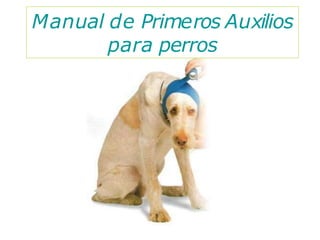 Manual de Primeros Auxilios
para perros
 