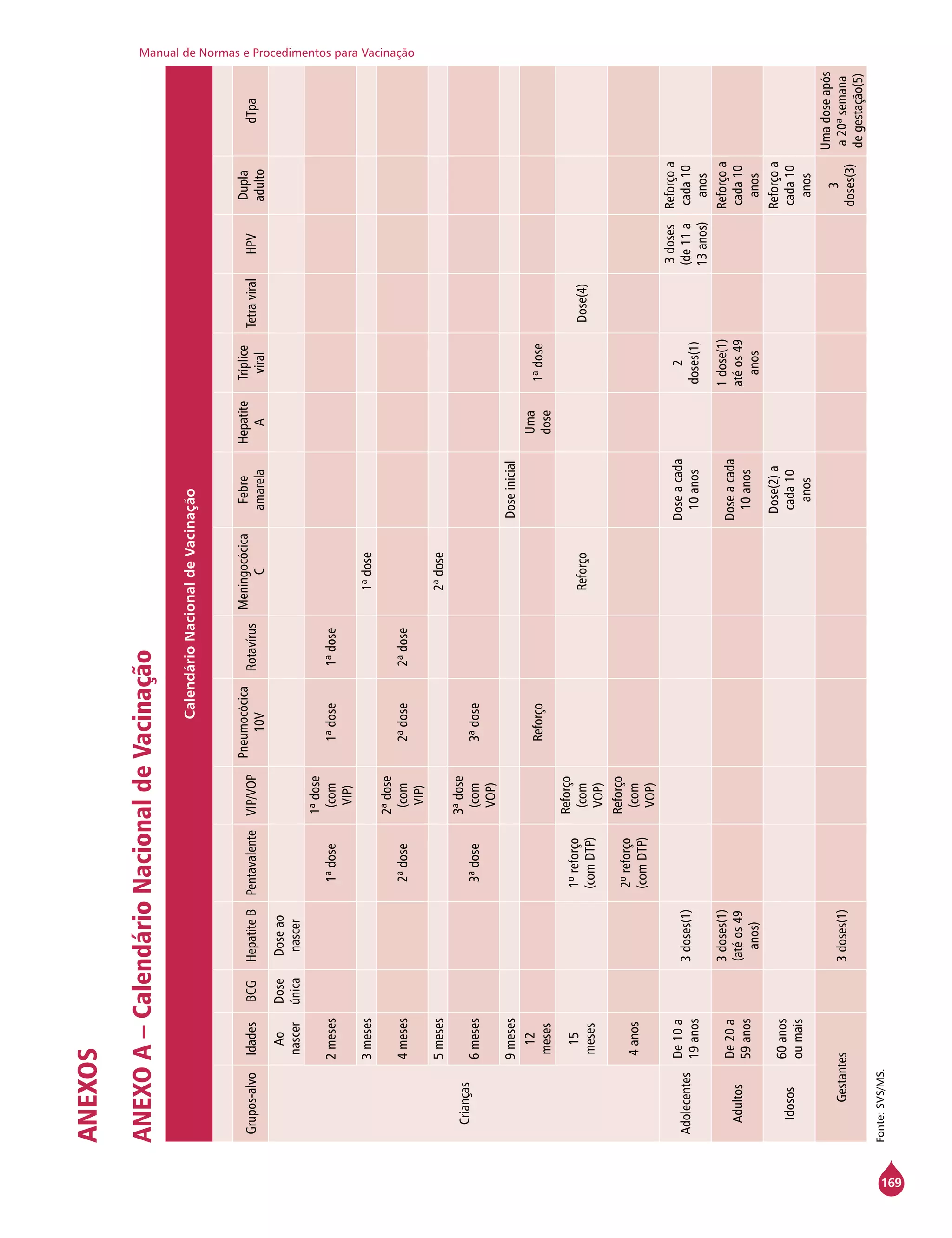 Manual de Normas e Procedimentos para Vacinação
169
ANEXOS
ANEXOA–CalendárioNacionaldeVacinação
CalendárioNacionaldeVacinação
Grupos-alvoIdadesBCGHepatiteBPentavalenteVIP/VOP
Pneumocócica
10V
Rotavírus
Meningocócica
C
Febre
amarela
Hepatite
A
Tríplice
viral
TetraviralHPV
Dupla
adulto
dTpa
Crianças
Ao
nascer
Dose
única
Doseao
nascer
2meses1ªdose
1ªdose
(com
VIP)
1ªdose1ªdose
3meses1ªdose
4meses2ªdose
2ªdose
(com
VIP)
2ªdose2ªdose
5meses2ªdose
6meses3ªdose
3ªdose
(com
VOP)
3ªdose
9mesesDoseinicial
12
meses
Reforço
Uma
dose
1ªdose
15
meses
1ºreforço
(comDTP)
Reforço
(com
VOP)
ReforçoDose(4)
4anos
2ºreforço
(comDTP)
Reforço
(com
VOP)
Adolecentes
De10a
19anos
3doses(1)
Doseacada
10anos
2
doses(1)
3doses
(de11a
13anos)
Reforçoa
cada10
anos
Adultos
De20a
59anos
3doses(1)
(atéos49
anos)
Doseacada
10anos
1dose(1)
atéos49
anos
Reforçoa
cada10
anos
Idosos
60anos
oumais
Dose(2)a
cada10
anos
Reforçoa
cada10
anos
Gestantes3doses(1)
3
doses(3)
Umadoseapós
a20ªsemana
degestação(5)
Fonte:SVS/MS.
 
