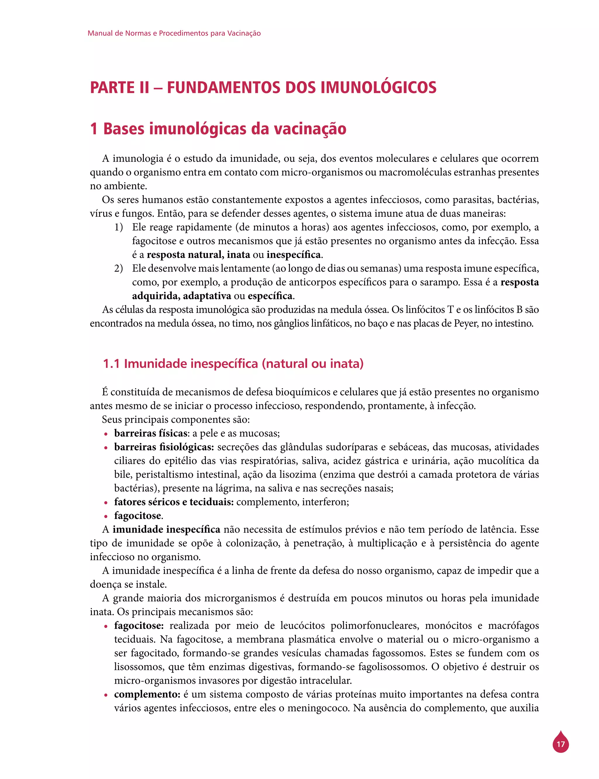 Manual de Normas e Procedimentos para Vacinação
17
PARTE II – FUNDAMENTOS DOS IMUNOLÓGICOS
1 Bases imunológicas da vacinação
A imunologia é o estudo da imunidade, ou seja, dos eventos moleculares e celulares que ocorrem
quando o organismo entra em contato com micro-organismos ou macromoléculas estranhas presentes
no ambiente.
Os seres humanos estão constantemente expostos a agentes infecciosos, como parasitas, bactérias,
vírus e fungos. Então, para se defender desses agentes, o sistema imune atua de duas maneiras:
1)	 Ele reage rapidamente (de minutos a horas) aos agentes infecciosos, como, por exemplo, a
fagocitose e outros mecanismos que já estão presentes no organismo antes da infecção. Essa
é a resposta natural, inata ou inespecífica.
2)	 Ele desenvolve mais lentamente (ao longo de dias ou semanas) uma resposta imune específica,
como, por exemplo, a produção de anticorpos específicos para o sarampo. Essa é a resposta
adquirida, adaptativa ou específica.
As células da resposta imunológica são produzidas na medula óssea. Os linfócitos T e os linfócitos B são
encontrados na medula óssea, no timo, nos gânglios linfáticos, no baço e nas placas de Peyer, no intestino.
1.1 Imunidade inespecífica (natural ou inata)
É constituída de mecanismos de defesa bioquímicos e celulares que já estão presentes no organismo
antes mesmo de se iniciar o processo infeccioso, respondendo, prontamente, à infecção.
Seus principais componentes são:
•	 barreiras físicas: a pele e as mucosas;
•	 barreiras fisiológicas: secreções das glândulas sudoríparas e sebáceas, das mucosas, atividades
ciliares do epitélio das vias respiratórias, saliva, acidez gástrica e urinária, ação mucolítica da
bile, peristaltismo intestinal, ação da lisozima (enzima que destrói a camada protetora de várias
bactérias), presente na lágrima, na saliva e nas secreções nasais;
•	 fatores séricos e teciduais: complemento, interferon;
•	 fagocitose.
A imunidade inespecífica não necessita de estímulos prévios e não tem período de latência. Esse
tipo de imunidade se opõe à colonização, à penetração, à multiplicação e à persistência do agente
infeccioso no organismo.
A imunidade inespecífica é a linha de frente da defesa do nosso organismo, capaz de impedir que a
doença se instale.
A grande maioria dos microrganismos é destruída em poucos minutos ou horas pela imunidade
inata. Os principais mecanismos são:
•	 fagocitose: realizada por meio de leucócitos polimorfonucleares, monócitos e macrófagos
teciduais. Na fagocitose, a membrana plasmática envolve o material ou o micro-organismo a
ser fagocitado, formando-se grandes vesículas chamadas fagossomos. Estes se fundem com os
lisossomos, que têm enzimas digestivas, formando-se fagolisossomos. O objetivo é destruir os
micro-organismos invasores por digestão intracelular.
•	 complemento: é um sistema composto de várias proteínas muito importantes na defesa contra
vários agentes infecciosos, entre eles o meningococo. Na ausência do complemento, que auxilia
 