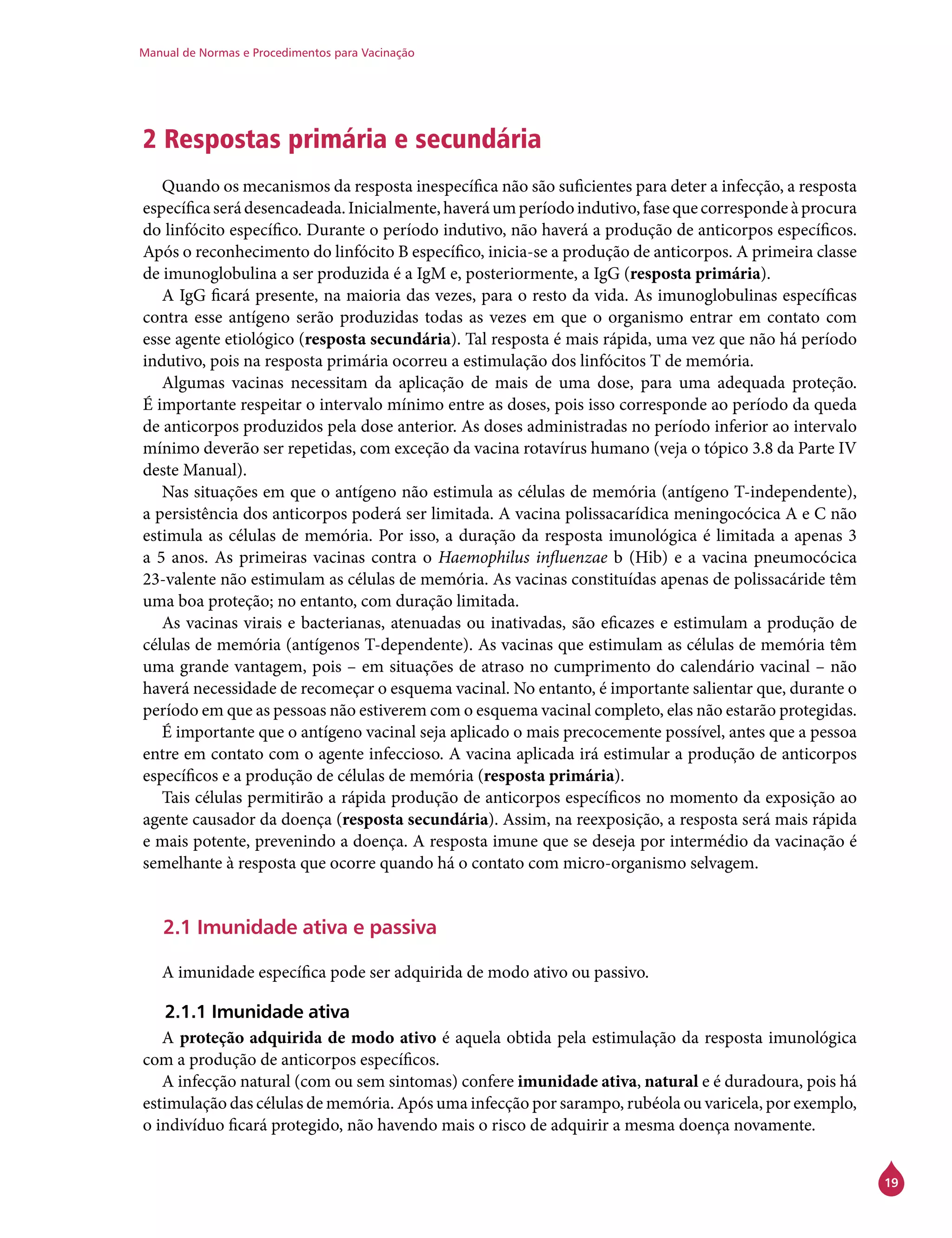Manual de Normas e Procedimentos para Vacinação
19
2 Respostas primária e secundária
Quando os mecanismos da resposta inespecífica não são suficientes para deter a infecção, a resposta
específicaserádesencadeada.Inicialmente,haveráumperíodoindutivo,fasequecorrespondeàprocura
do linfócito específico. Durante o período indutivo, não haverá a produção de anticorpos específicos.
Após o reconhecimento do linfócito B específico, inicia-se a produção de anticorpos. A primeira classe
de imunoglobulina a ser produzida é a IgM e, posteriormente, a IgG (resposta primária).
A IgG ficará presente, na maioria das vezes, para o resto da vida. As imunoglobulinas específicas
contra esse antígeno serão produzidas todas as vezes em que o organismo entrar em contato com
esse agente etiológico (resposta secundária). Tal resposta é mais rápida, uma vez que não há período
indutivo, pois na resposta primária ocorreu a estimulação dos linfócitos T de memória.
Algumas vacinas necessitam da aplicação de mais de uma dose, para uma adequada proteção.
É importante respeitar o intervalo mínimo entre as doses, pois isso corresponde ao período da queda
de anticorpos produzidos pela dose anterior. As doses administradas no período inferior ao intervalo
mínimo deverão ser repetidas, com exceção da vacina rotavírus humano (veja o tópico 3.8 da Parte IV
deste Manual).
Nas situações em que o antígeno não estimula as células de memória (antígeno T-independente),
a persistência dos anticorpos poderá ser limitada. A vacina polissacarídica meningocócica A e C não
estimula as células de memória. Por isso, a duração da resposta imunológica é limitada a apenas 3
a 5 anos. As primeiras vacinas contra o Haemophilus influenzae b (Hib) e a vacina pneumocócica
23-valente não estimulam as células de memória. As vacinas constituídas apenas de polissacáride têm
uma boa proteção; no entanto, com duração limitada.
As vacinas virais e bacterianas, atenuadas ou inativadas, são eficazes e estimulam a produção de
células de memória (antígenos T-dependente). As vacinas que estimulam as células de memória têm
uma grande vantagem, pois – em situações de atraso no cumprimento do calendário vacinal – não
haverá necessidade de recomeçar o esquema vacinal. No entanto, é importante salientar que, durante o
período em que as pessoas não estiverem com o esquema vacinal completo, elas não estarão protegidas.
É importante que o antígeno vacinal seja aplicado o mais precocemente possível, antes que a pessoa
entre em contato com o agente infeccioso. A vacina aplicada irá estimular a produção de anticorpos
específicos e a produção de células de memória (resposta primária).
Tais células permitirão a rápida produção de anticorpos específicos no momento da exposição ao
agente causador da doença (resposta secundária). Assim, na reexposição, a resposta será mais rápida
e mais potente, prevenindo a doença. A resposta imune que se deseja por intermédio da vacinação é
semelhante à resposta que ocorre quando há o contato com micro-organismo selvagem.
2.1 Imunidade ativa e passiva
A imunidade específica pode ser adquirida de modo ativo ou passivo.
2.1.1 Imunidade ativa
A proteção adquirida de modo ativo é aquela obtida pela estimulação da resposta imunológica
com a produção de anticorpos específicos.
A infecção natural (com ou sem sintomas) confere imunidade ativa, natural e é duradoura, pois há
estimulação das células de memória. Após uma infecção por sarampo, rubéola ou varicela, por exemplo,
o indivíduo ficará protegido, não havendo mais o risco de adquirir a mesma doença novamente.
 