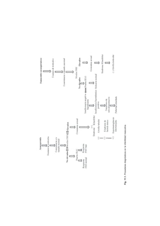 61
Fig.11.1.Procederesdiagnósticosenlainfertilidadmasculina.
 