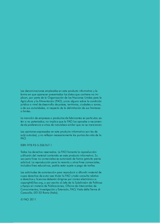 Una Huerta Para Todos Fao Pdf