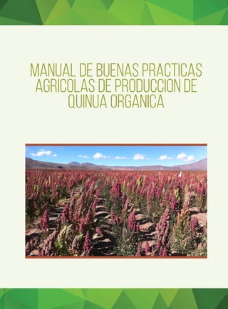 MANUAL DE BUENAS PRACTICAS
AGRICOLAS DE PRODUCCION DE
QUINUA ORGANICA
 