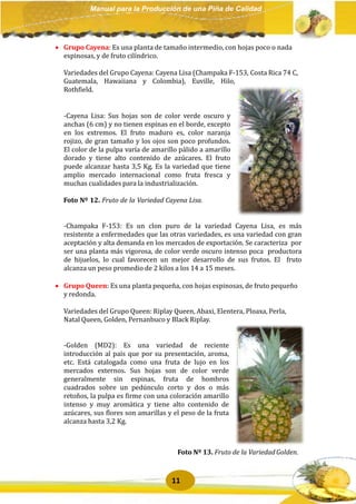 Manual produccion | PPTX