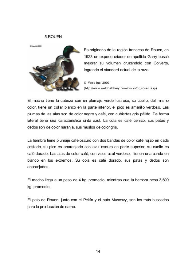 Manual Produccion Intensiva De Patos 1